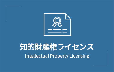 지적재산권 라이선스