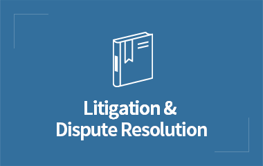 분쟁/소송