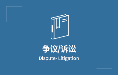 분쟁/소송