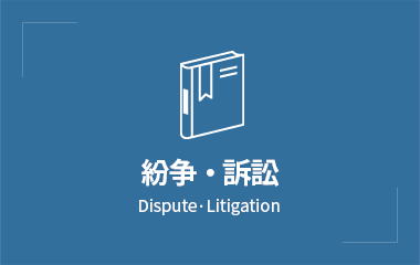 분쟁/소송